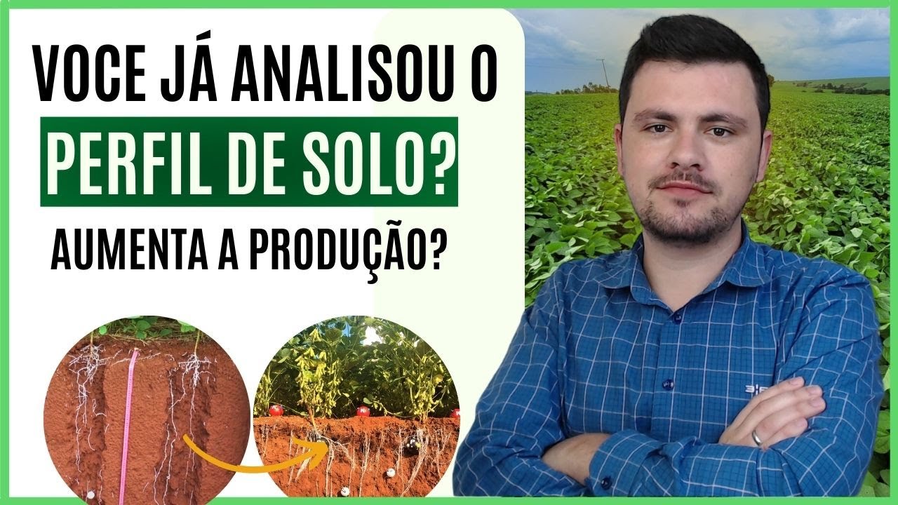 Como é importante a construção do PERFIL DO SOLO para altas produtividades