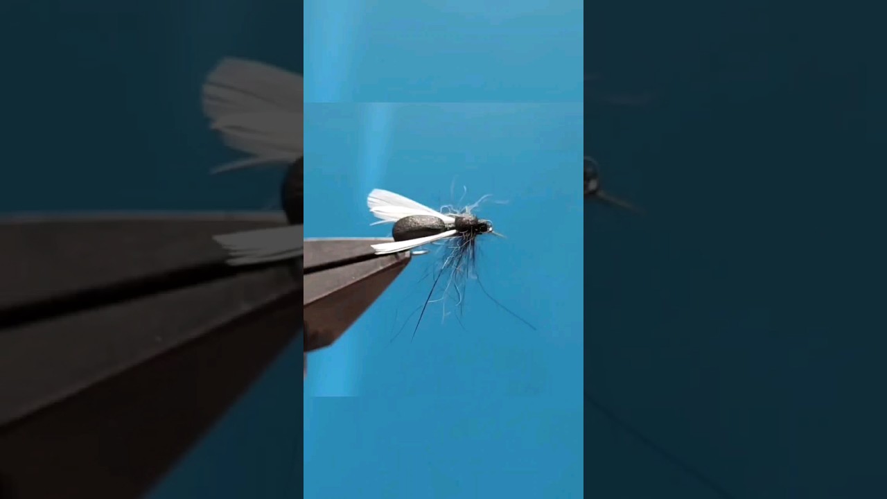 Fly Tying - Black Foam Ant