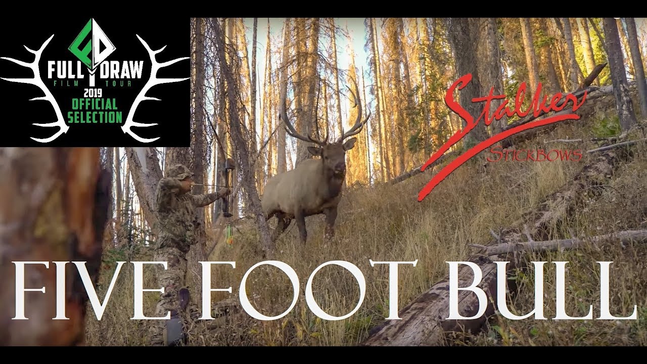FIVE FOOT BULL - Фильм о Сталкере и Палках