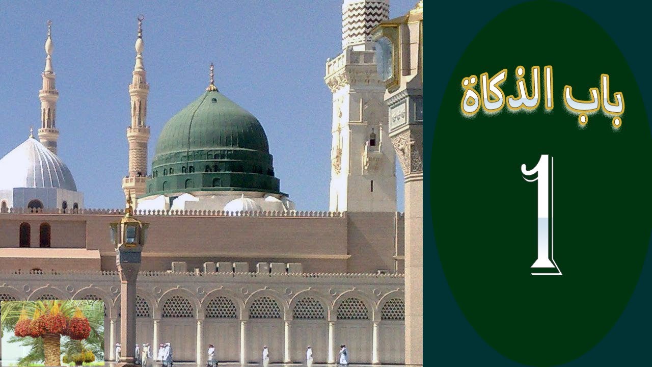 شرح كتاب مختصر العلامة خليل في الفقه المالكي للشيخ أحمد مولود الشنقيطي 