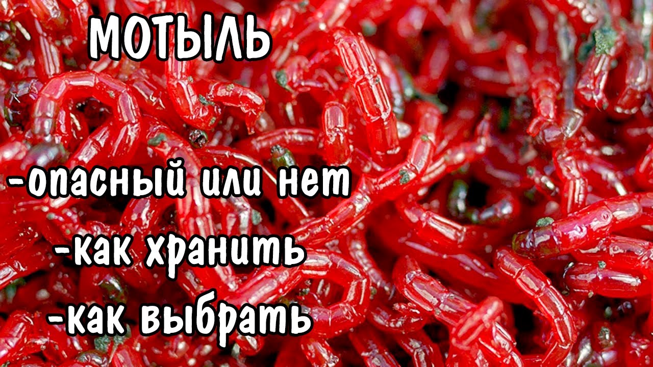 МОТЫЛЬ. ОПАСНЫЙ КОРМ?? КАК ХРАНИТЬ И КАК ВЫБРАТЬ.