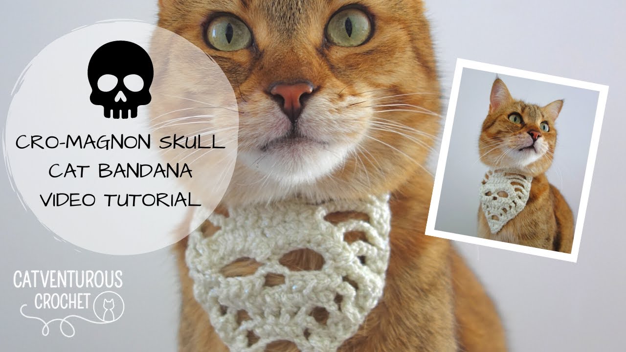 Cro-Magnon Skull Cat Bandana - Catventurous Crochet