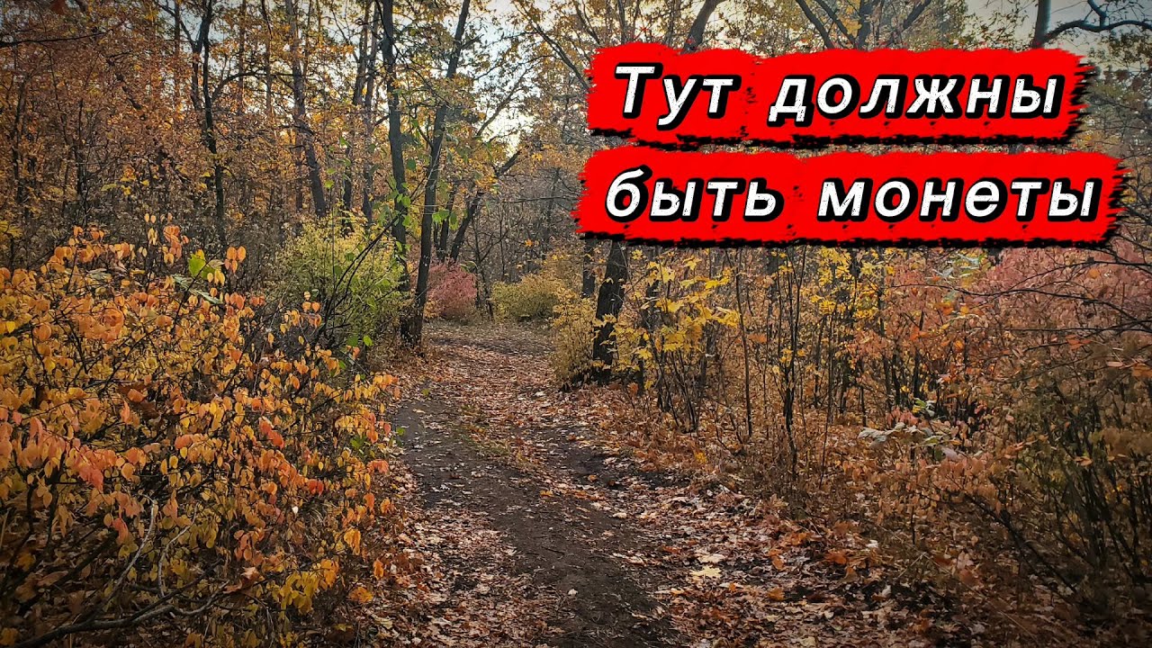 В этом месте я всегда нахожу монеты.