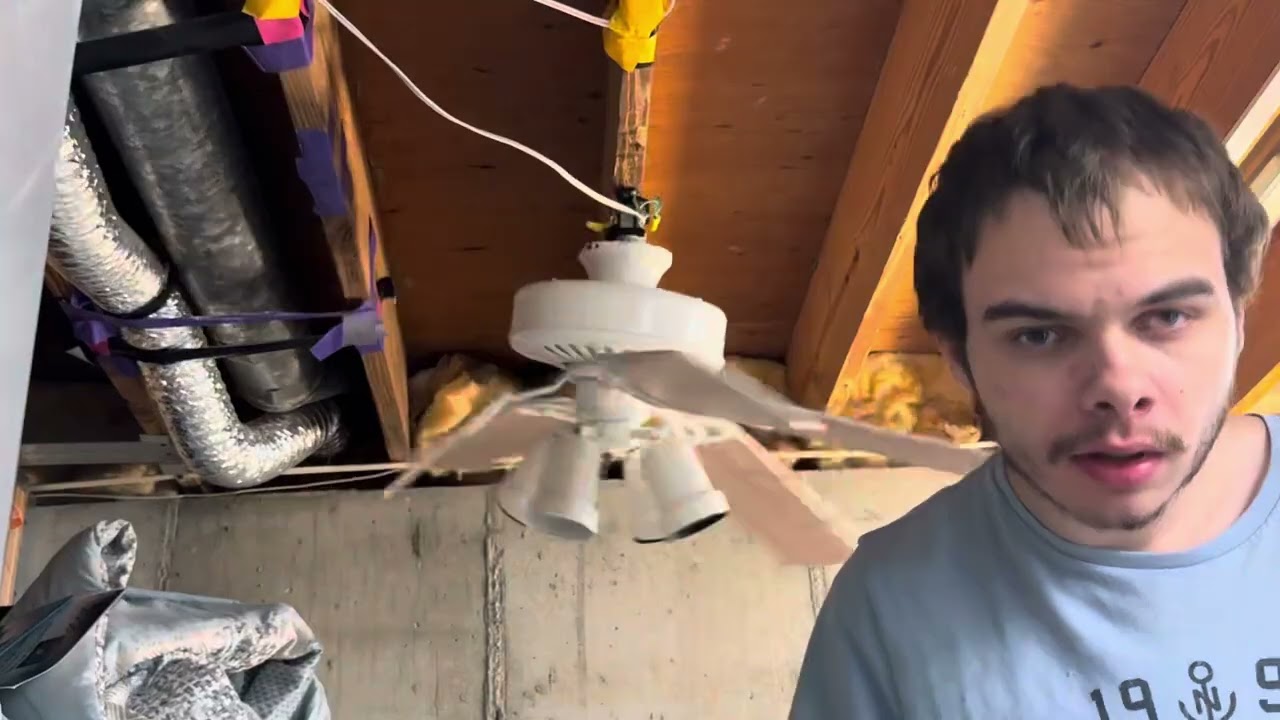 Ceiling fan destruction ￼