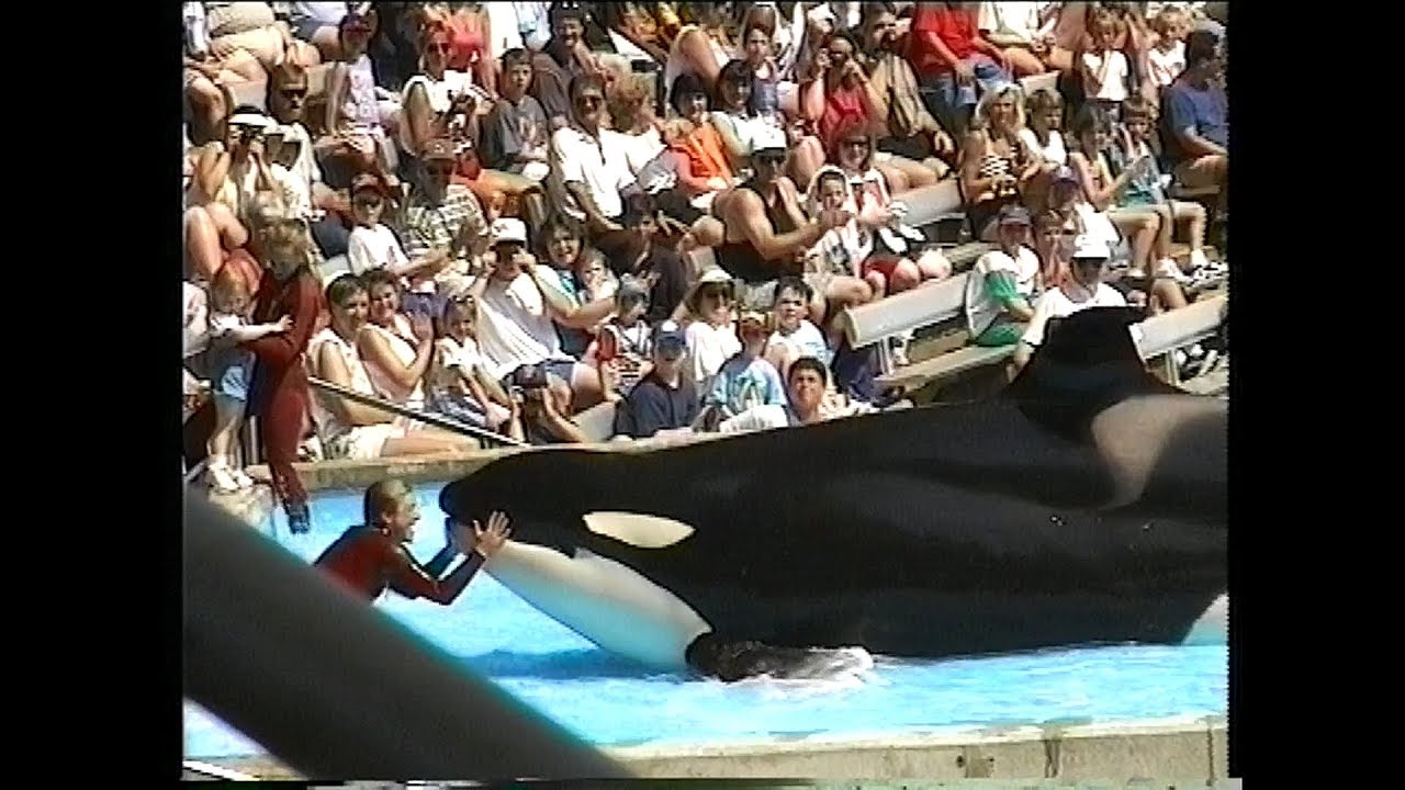 Sea World Orlando 1996