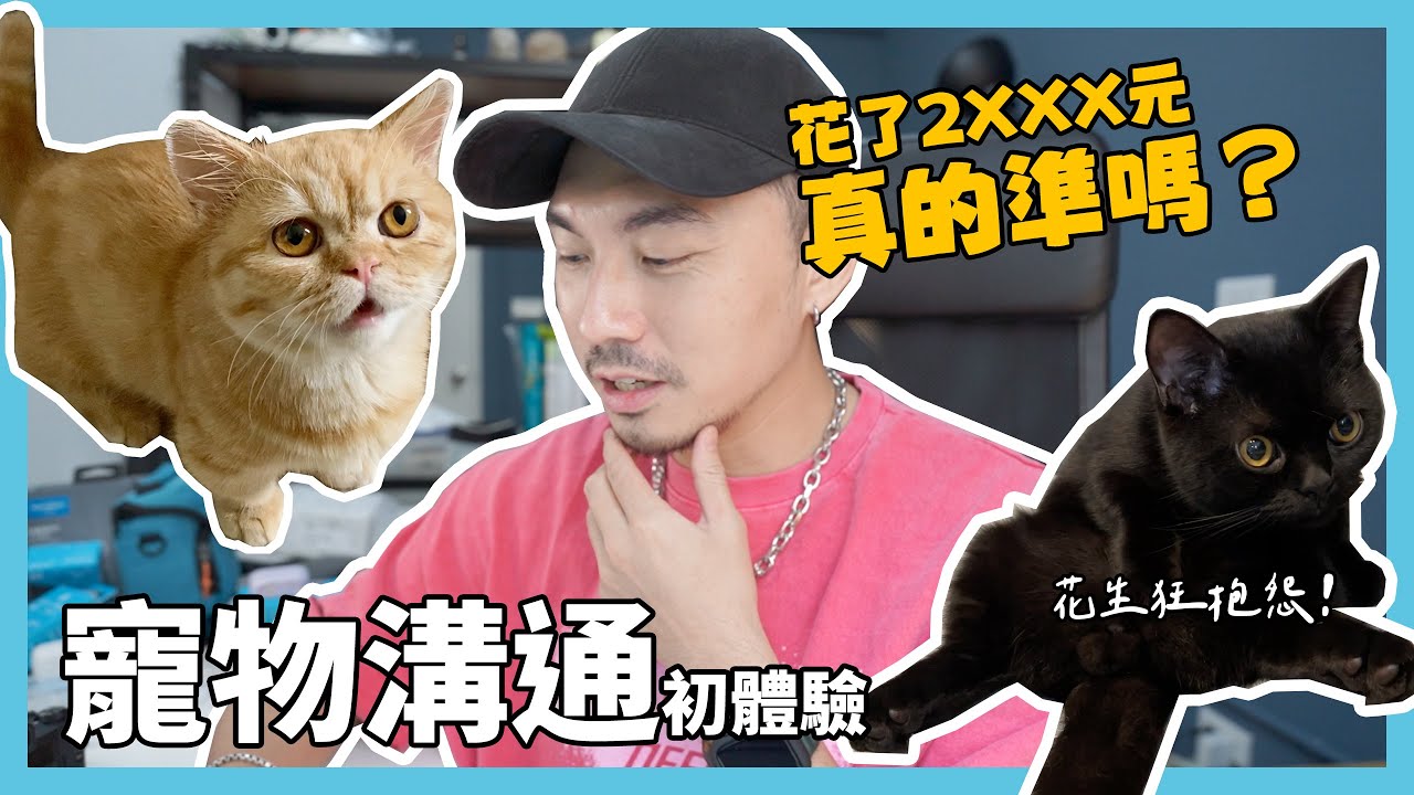 寵物溝通根本浪費錢？