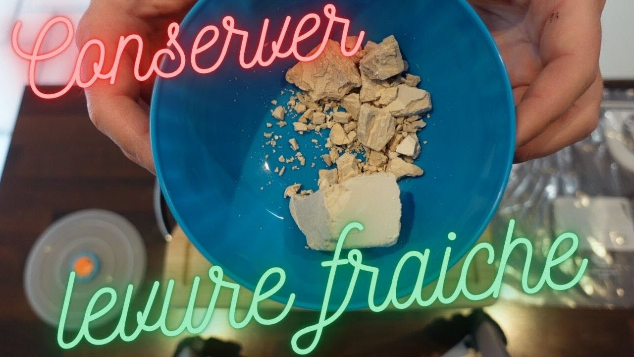 COMMENT CONSERVER LA LEVURE DE BOULANGER FRAICHE ?