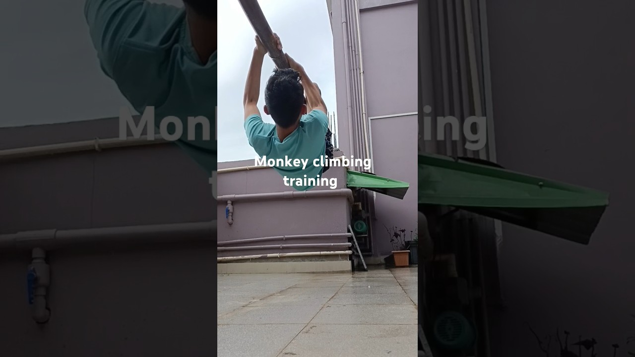 Monkey Climbing training 🐒#shorts #ytshorts #training #army #practice