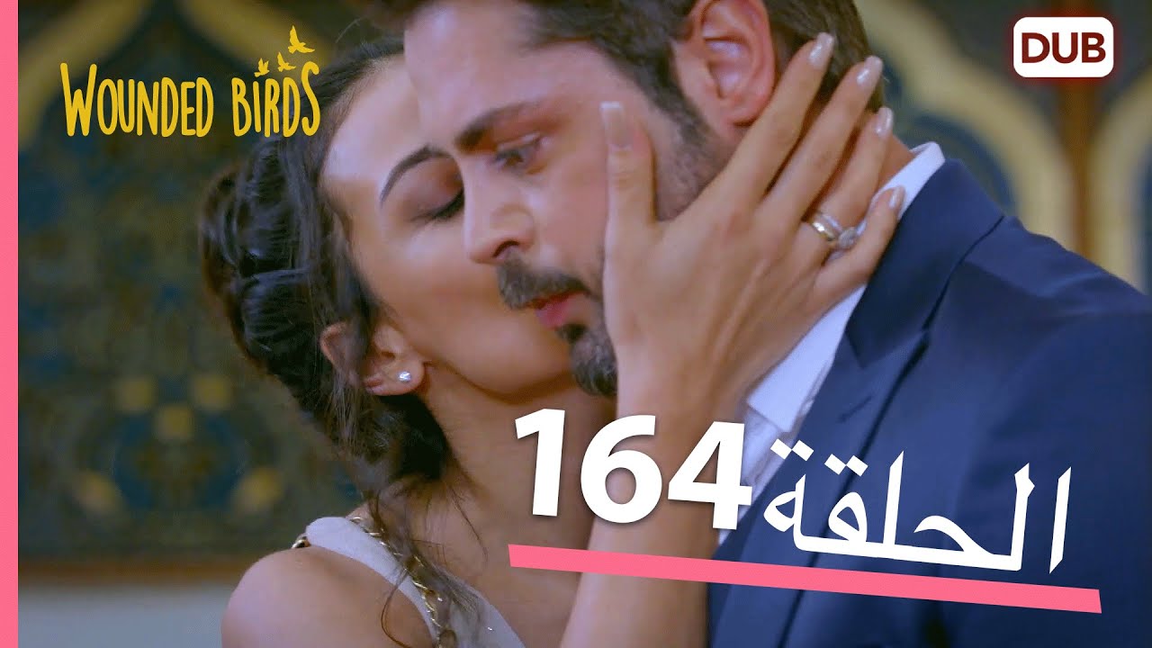 الطيور الجريحة | الحلقة الكاملة 164 |  مدبلج عربي