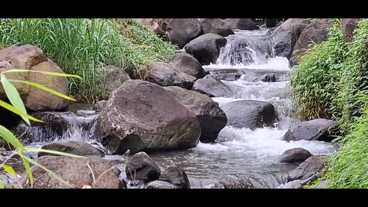 Sungai tengah hutan  💙🩵( relaxation )
