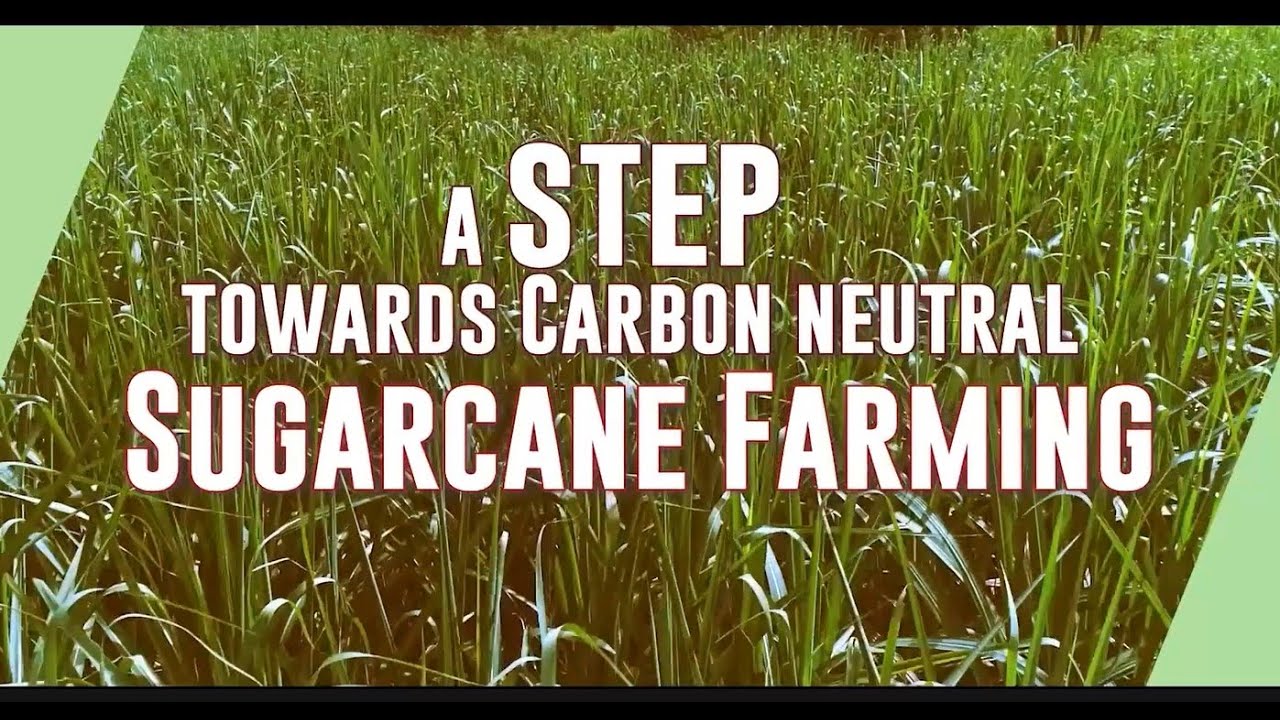 A Step Towards Carbon-neutral Sugarcane Farming