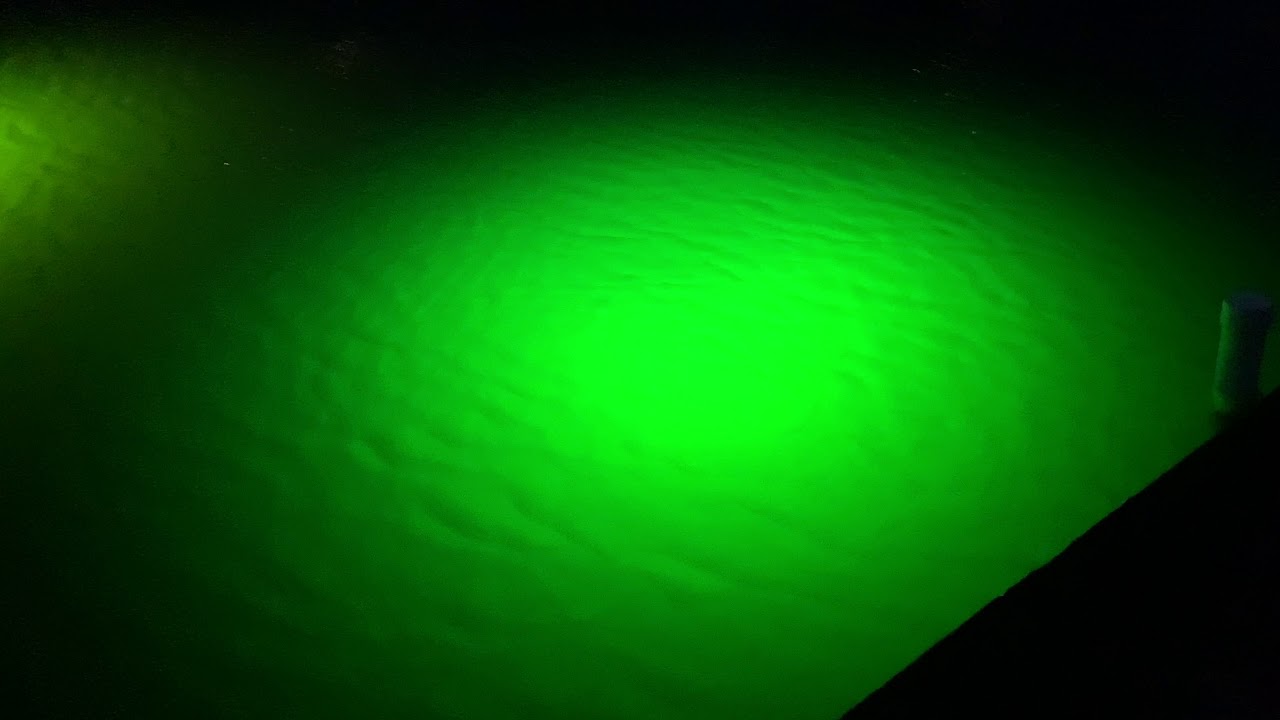 Loomis LED shallow water light vs halogen light