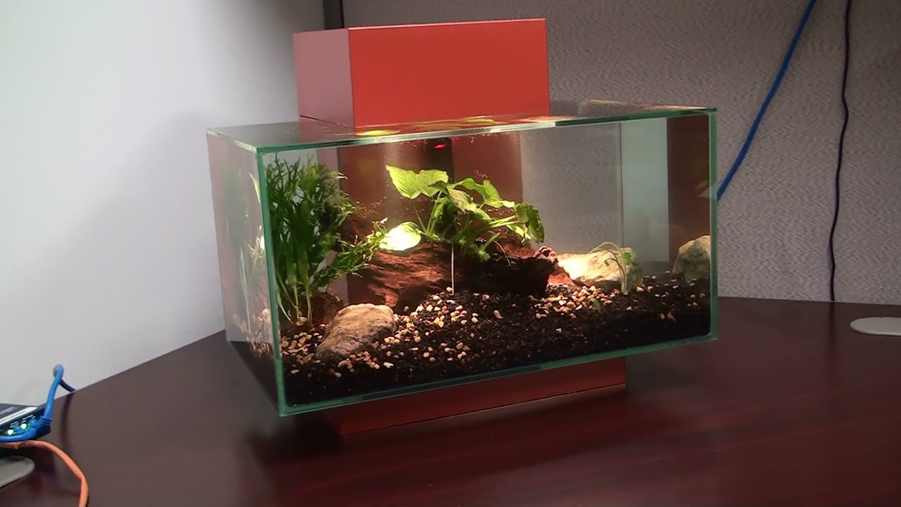 Fluval Edge 6 галлонов: распаковка и настройка