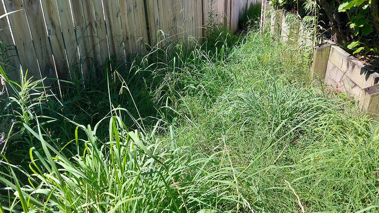 The Mess Was Hiding This Beautiful Garden | Satisfying Result!
