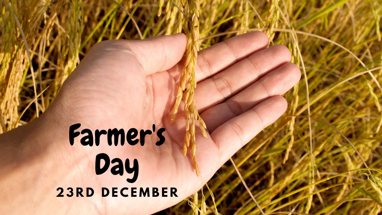 Farmer's Day 23rd December 2023||Kisan Diwas 2023|| Farmer's Day   whatsapp status video 2023 ||