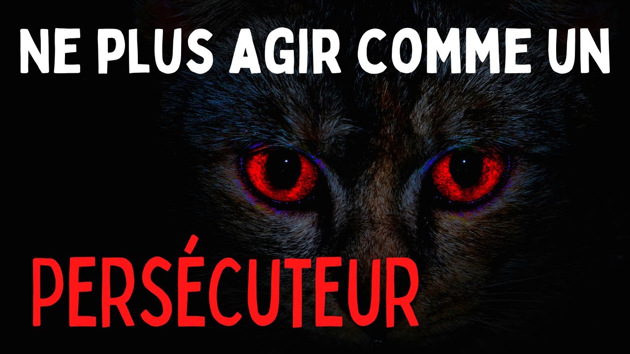 CHANGE TES COMPORTEMENTS DE PERS&Eacute;CUTEUR EN AFFIRMATION DE SOI AVEC LE TRIANGLE DU GAGNANT !