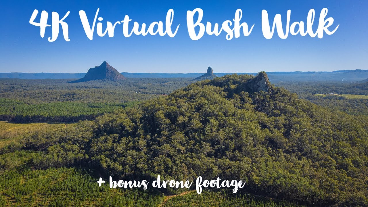4K Virtual Bush Walk ASMR