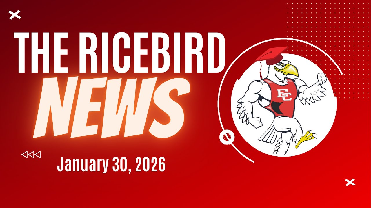 January 30 2026 Ricebird News