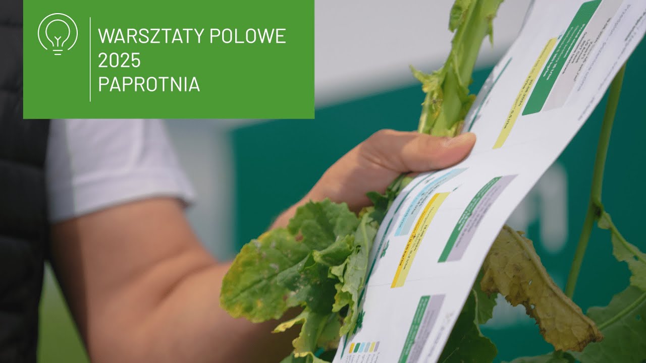 📍 Warsztaty Polowe Ampol-Merol 2025 &ndash; Paprotnia | Praktyka, innowacje i technologia w rolnictwie
