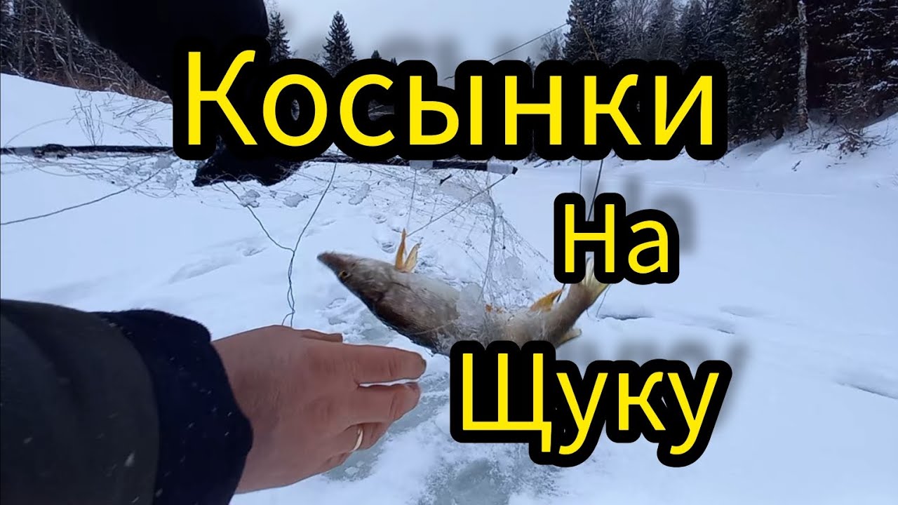 ВОТ ЭТО ДА. СЛОМАЛО ПРУТИК. СНОВА ГОЛАВЛИ. РЫБАЛКА НА КОСЫНКИ.