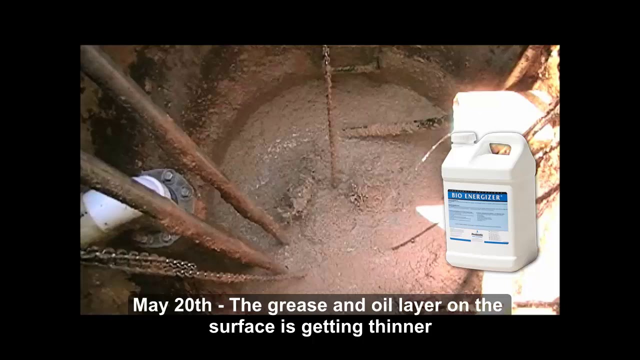 Reducing Septic System Grease