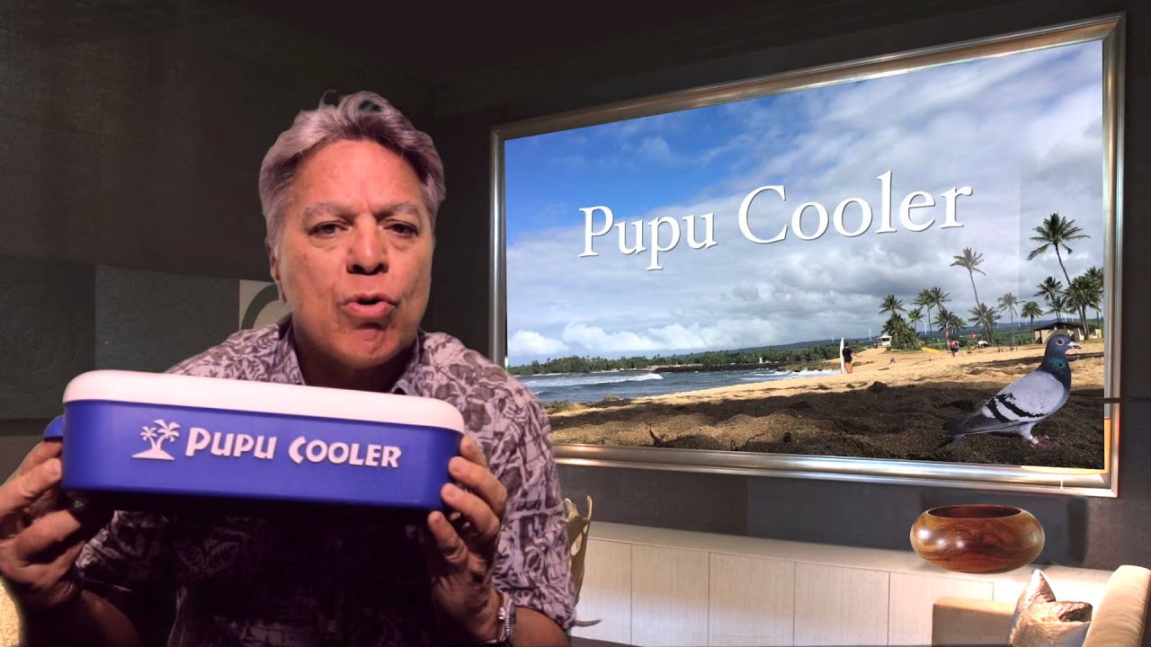 Bodda You, Waipahū, Pūpū Cooler