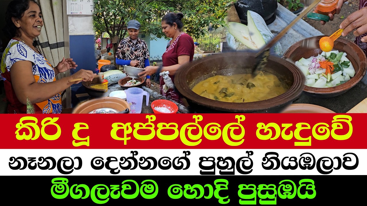 Authentic Village Flavor &ndash; Fast & Yummy