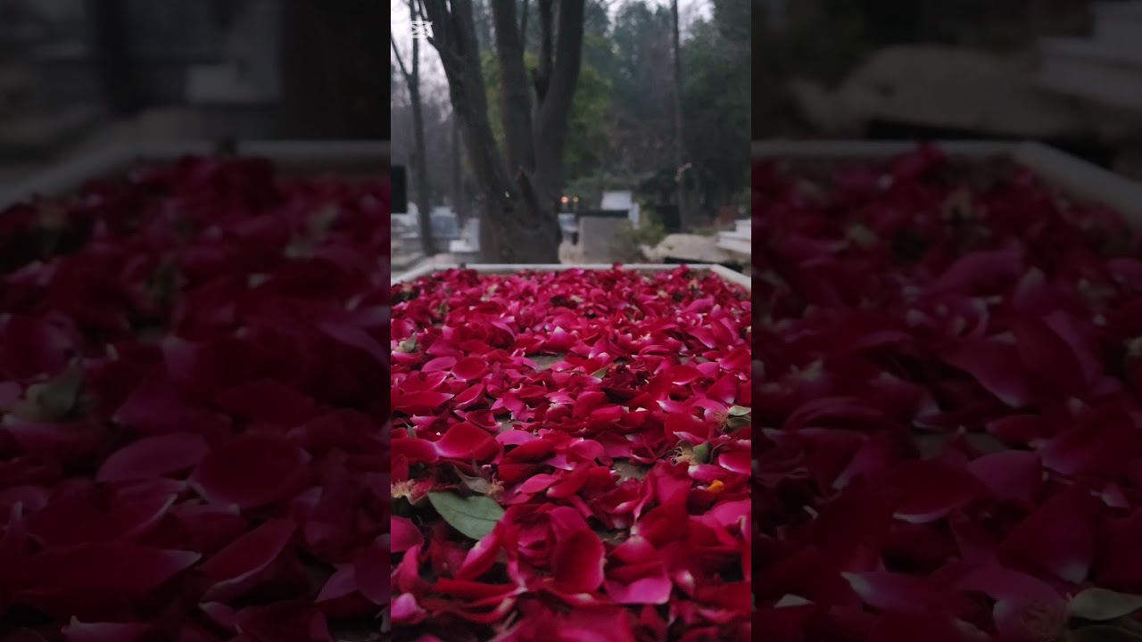 Healthy Morning 🌄 walk with Quran Recitation #morningwalk #Quran #ytshorts #yt #youtube #1million 
