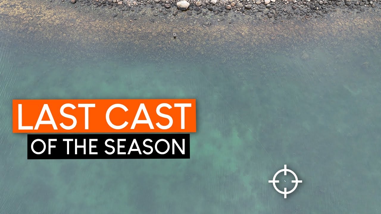 LAST SEA TROUT of the 2025 season on the Swedish West Coast