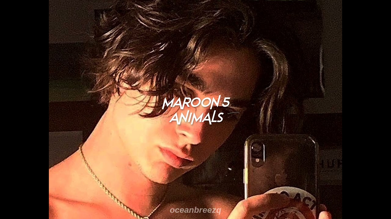maroon 5-animals (sped up+reverb) 