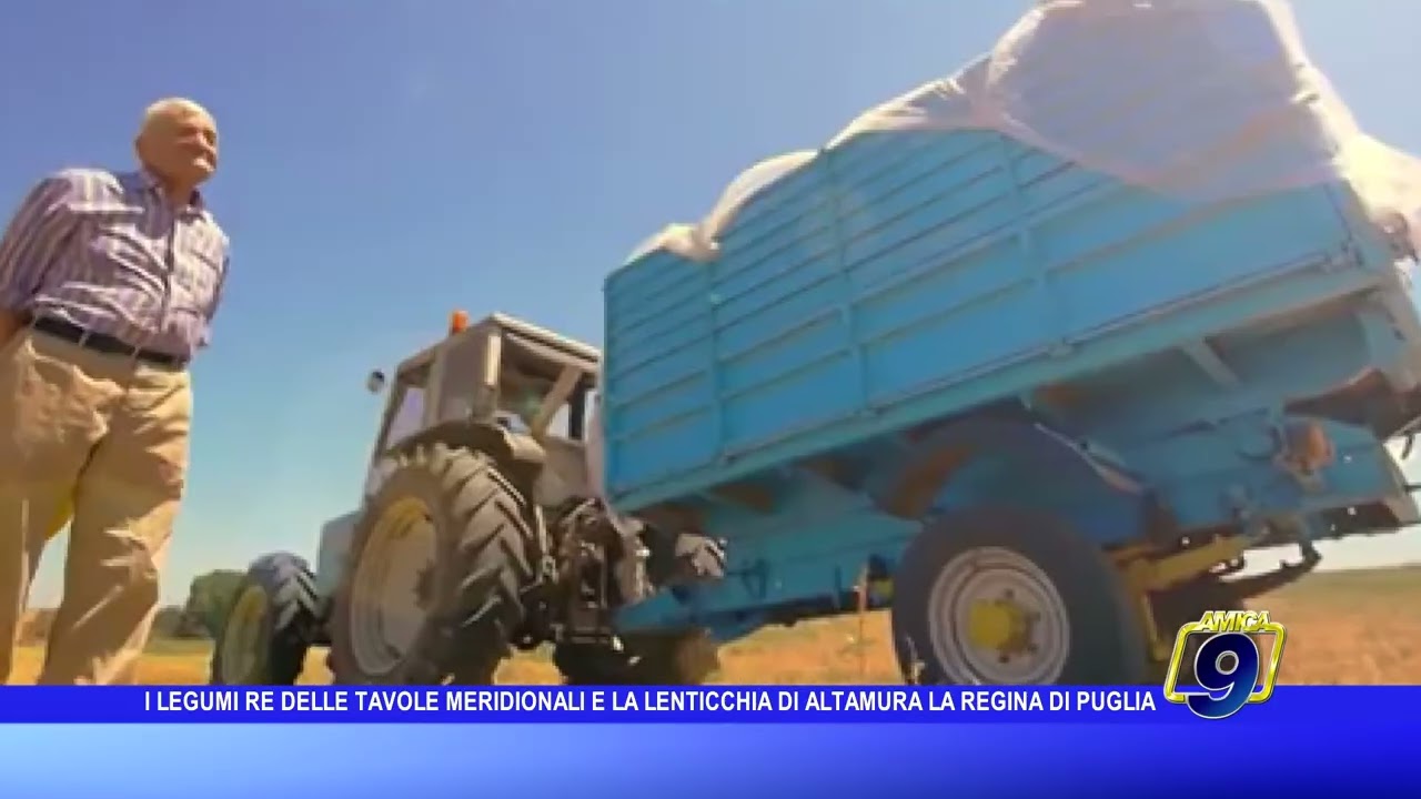 I legumi re delle tavole pugliesi e la lenticchia di Altamura regina di Puglia