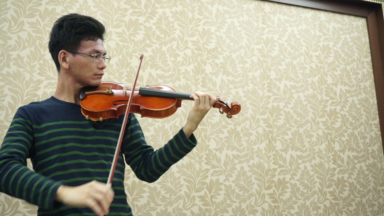 Riccardo Bergonzi violin 2014