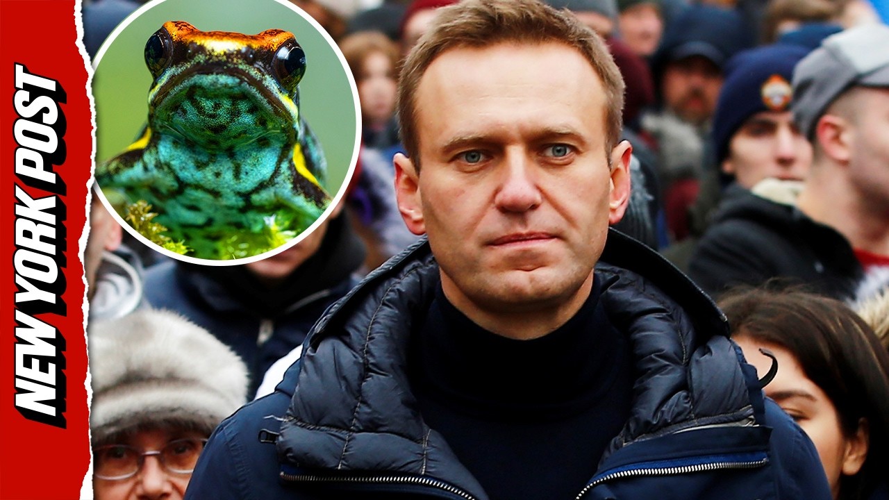 Navaly: Fatally Poisoned by Toxic Frog