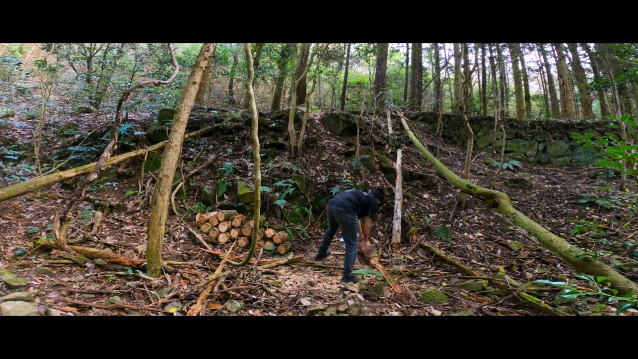 Bucking up wood(stihl ms 162)