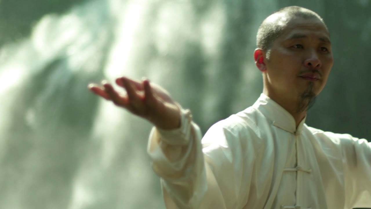 Taiji in the forest after the rain-Dao Universe🙏