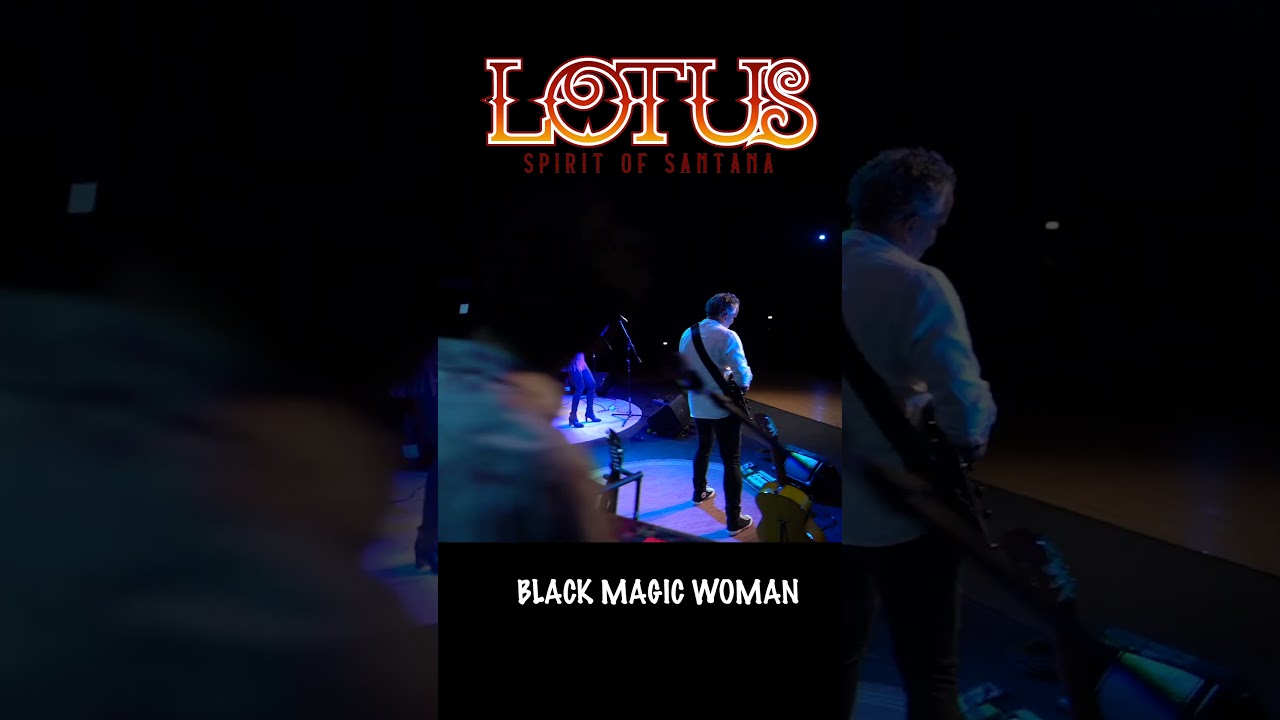 Black Magic Woman LOTUS Spirit of Santana #blackmagicwoman  #guitar #music #santana #guitarsolo