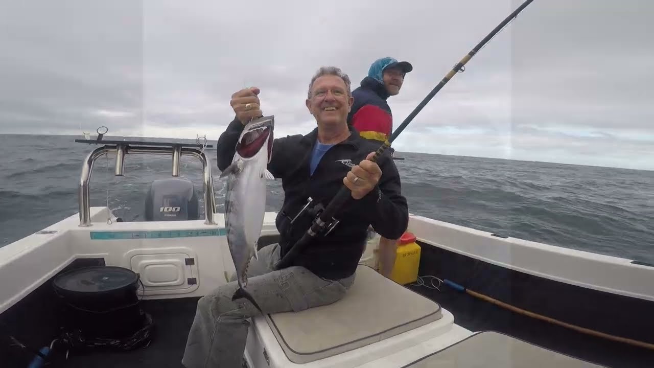 Yellowtail Fishing at Cape Point