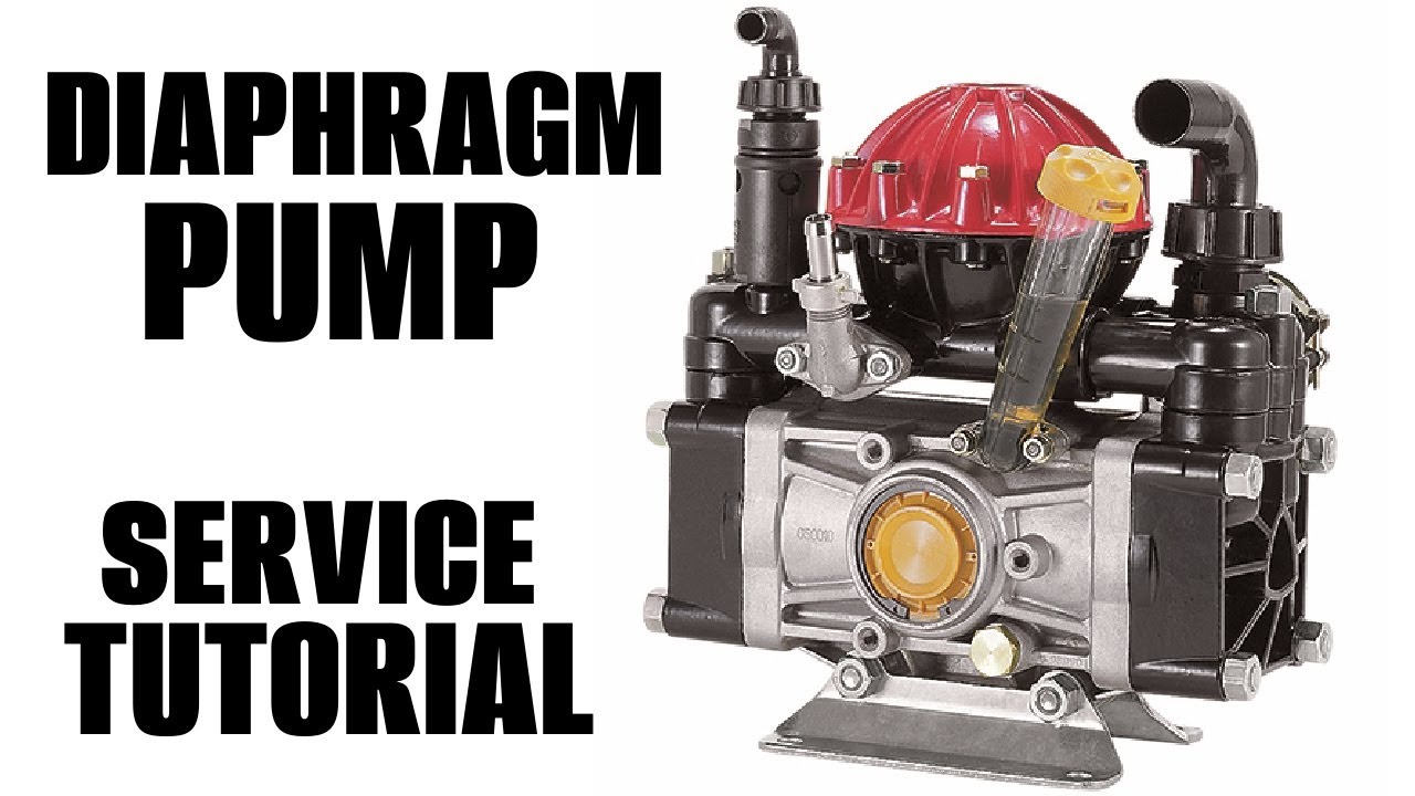 How To Change Diaphragm, Air Accumulator, Check Valves on AR30 / D30 Diaphragm type pumps