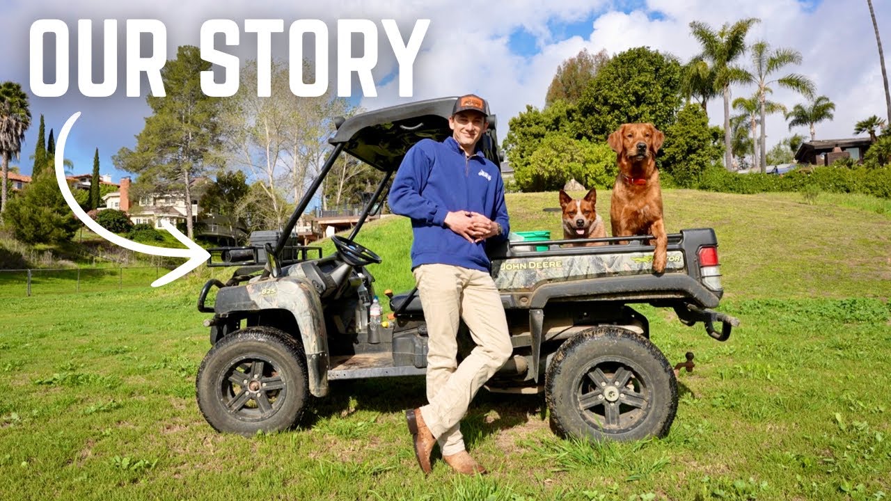 The Pet Industry Failed My Dogs — So I Built Something Better (Our Story)