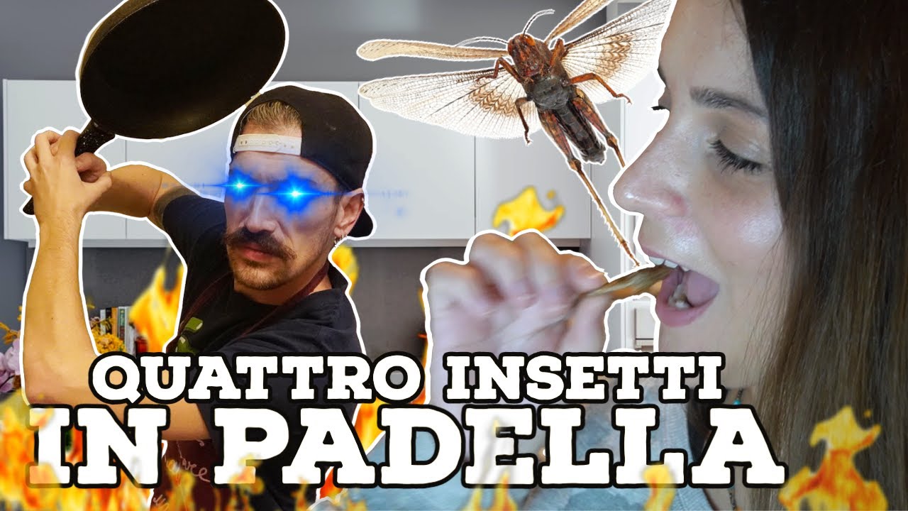 Cucino insetti MALE ma con tanto AMORE