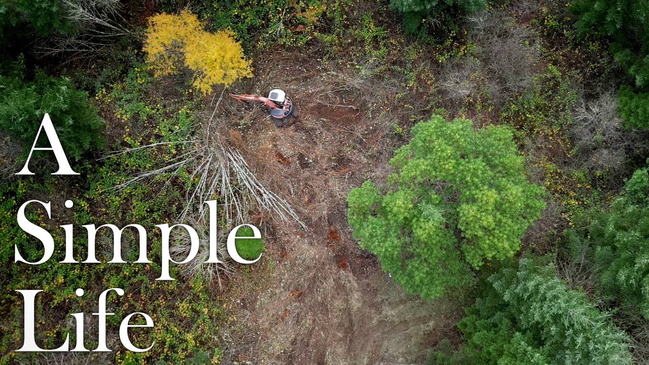 Building Goat Pasture Deep in the Woods!