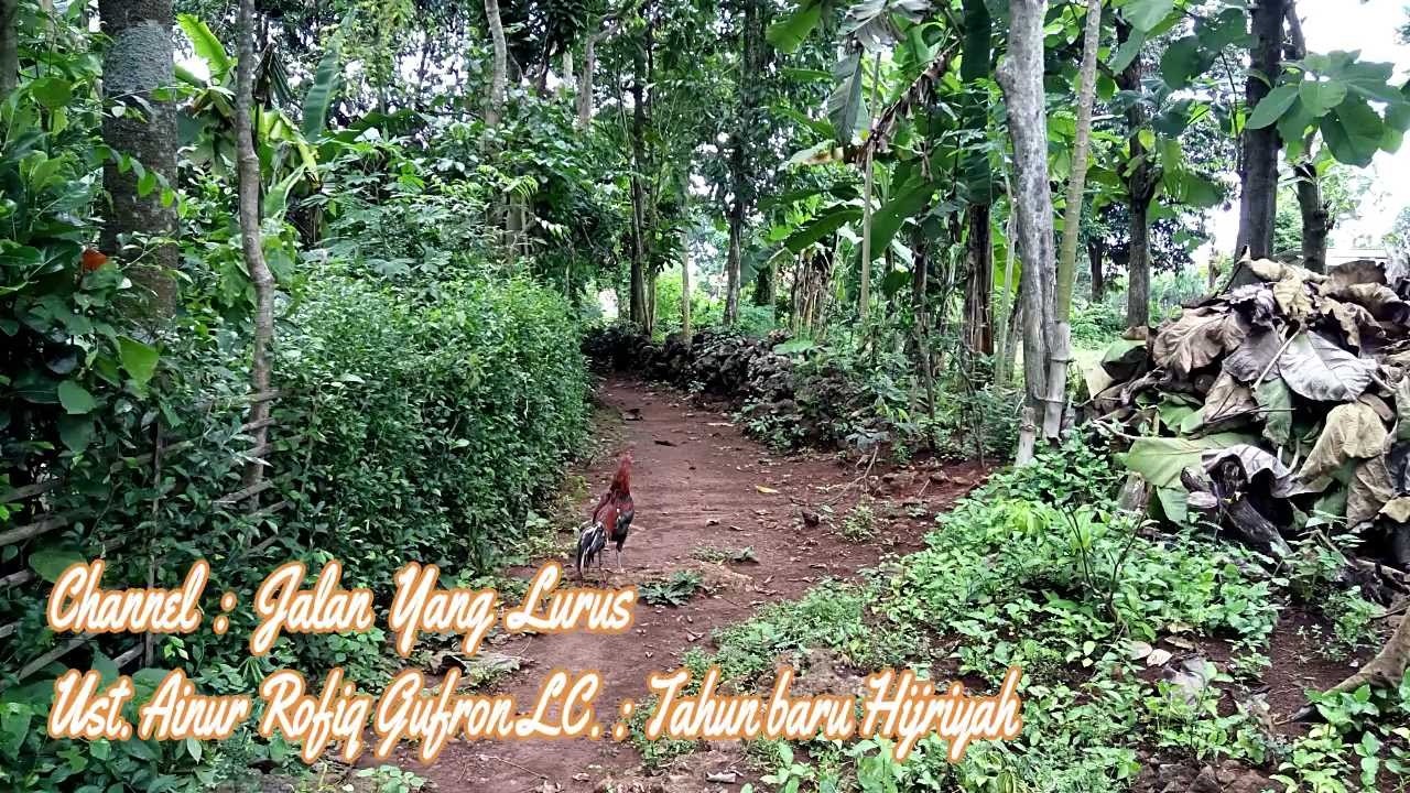 Jalan Yang Lurus : Ust. Ainur Rofiq Gufron LC. : Tahun baru Hijriyah