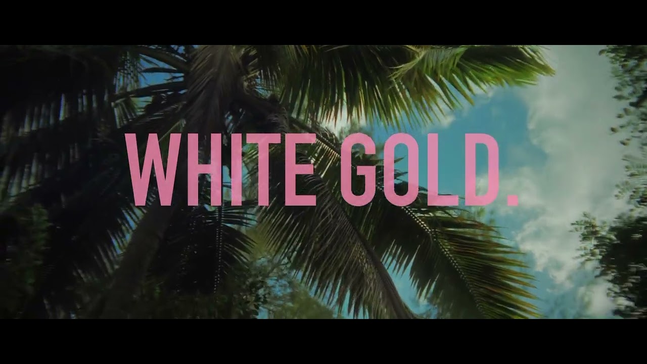 Fallen - White Gold [OFFICIAL MUSIC VISUALIZER]