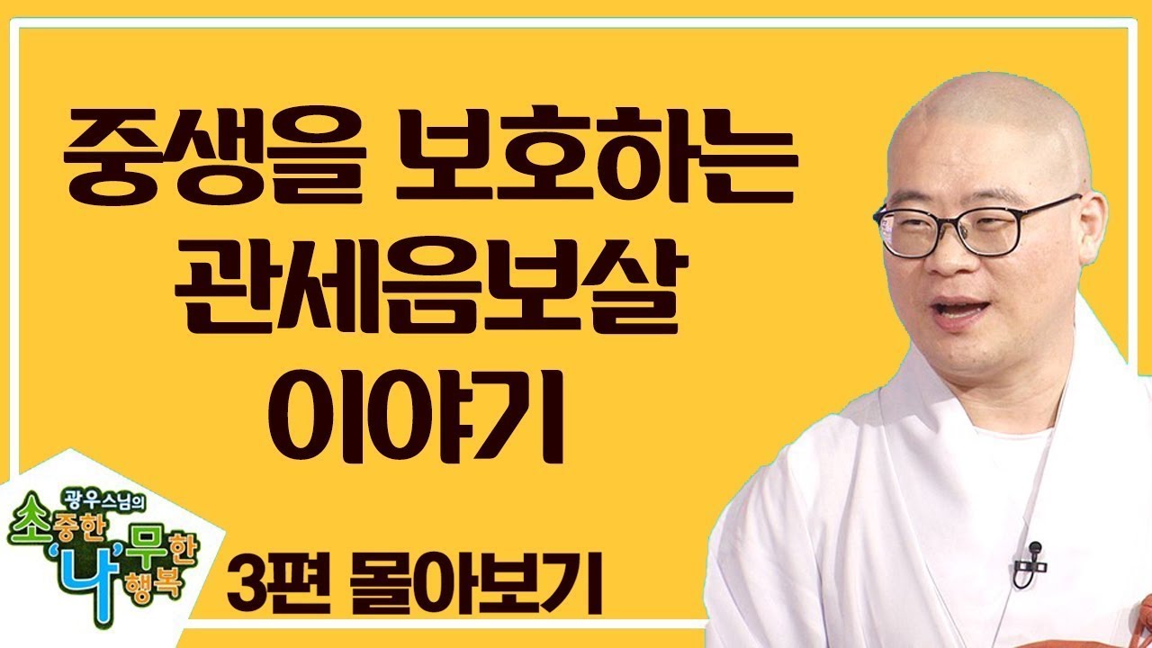 중생들을 보호하는 관세음보살 이야기 3편 몰아보기 [광우스님 소나무 스페셜]