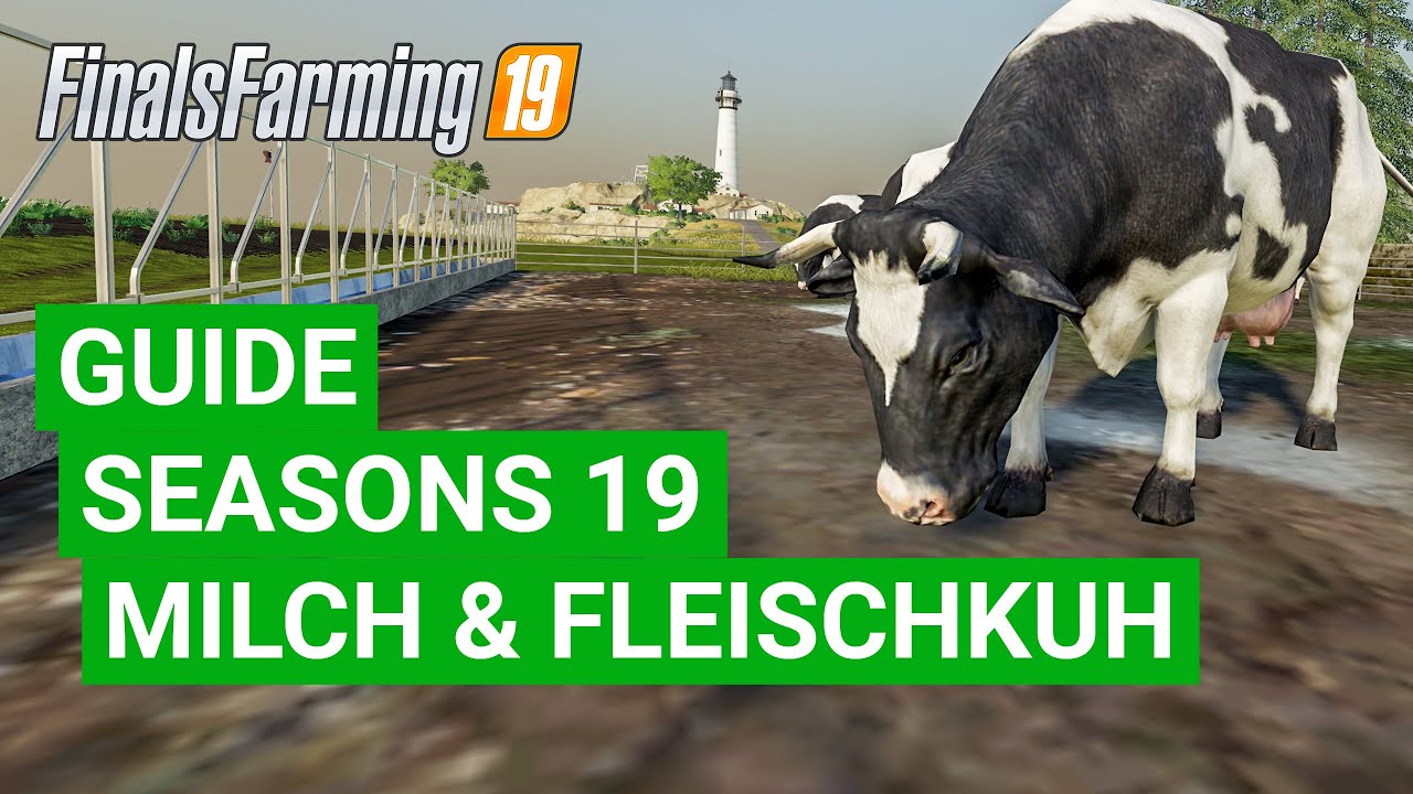LS19 Seasons - Alles &uuml;ber K&uuml;he (Ob ihr das schon wusstet?) [MOD: Seasons 19]