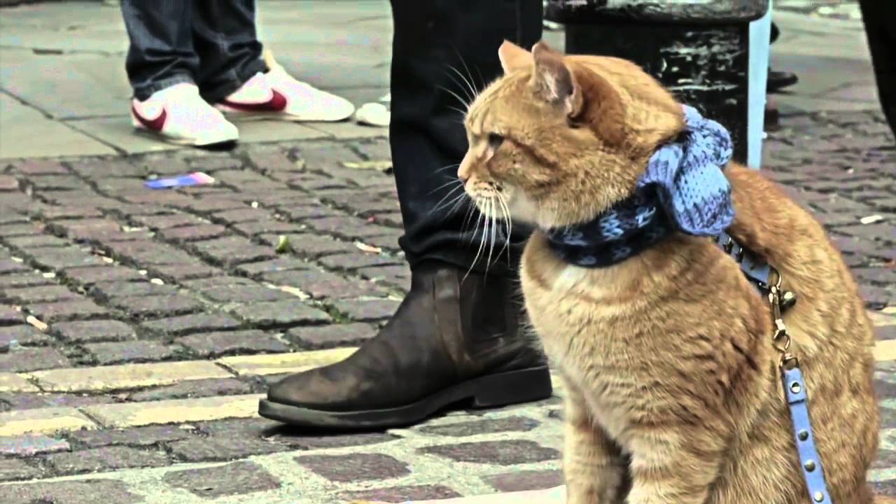 A Street Cat Named Bob