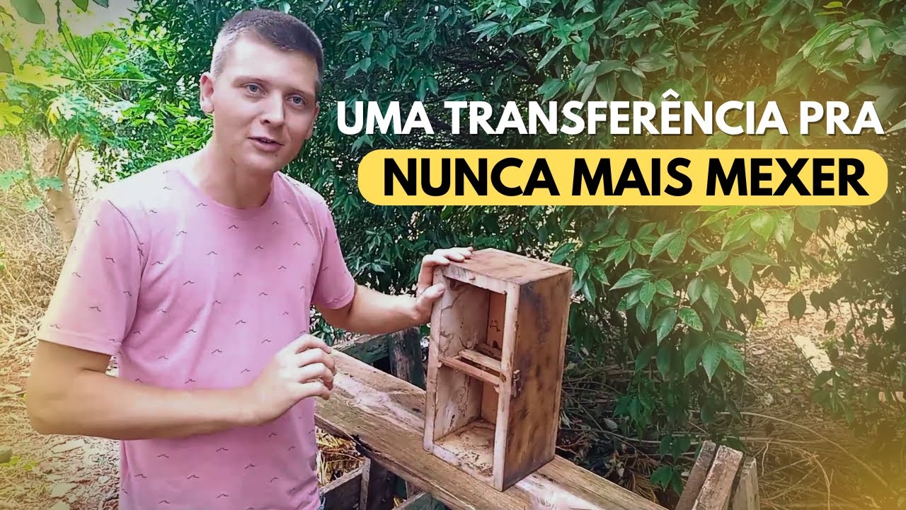 079 - Transferência pra NÃO MEXER mais!