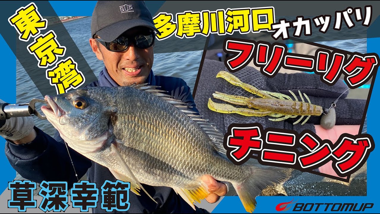 『東京湾多摩川河口オカッパリ《フリーリグ×チニング》草深幸範 』