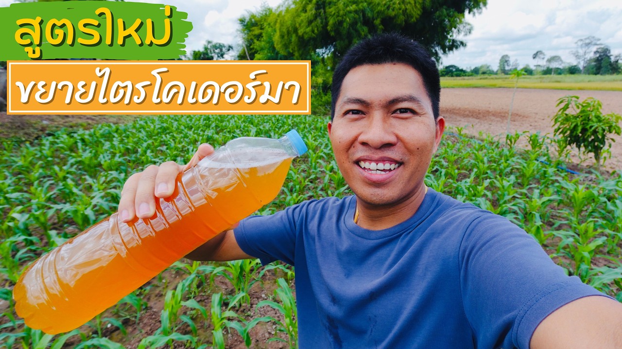 วิธีขยายหัวเชื้อไตรโคเดอร์มาด้วยน้ำ | ทำง่าย ใช้ได้ผลจริง