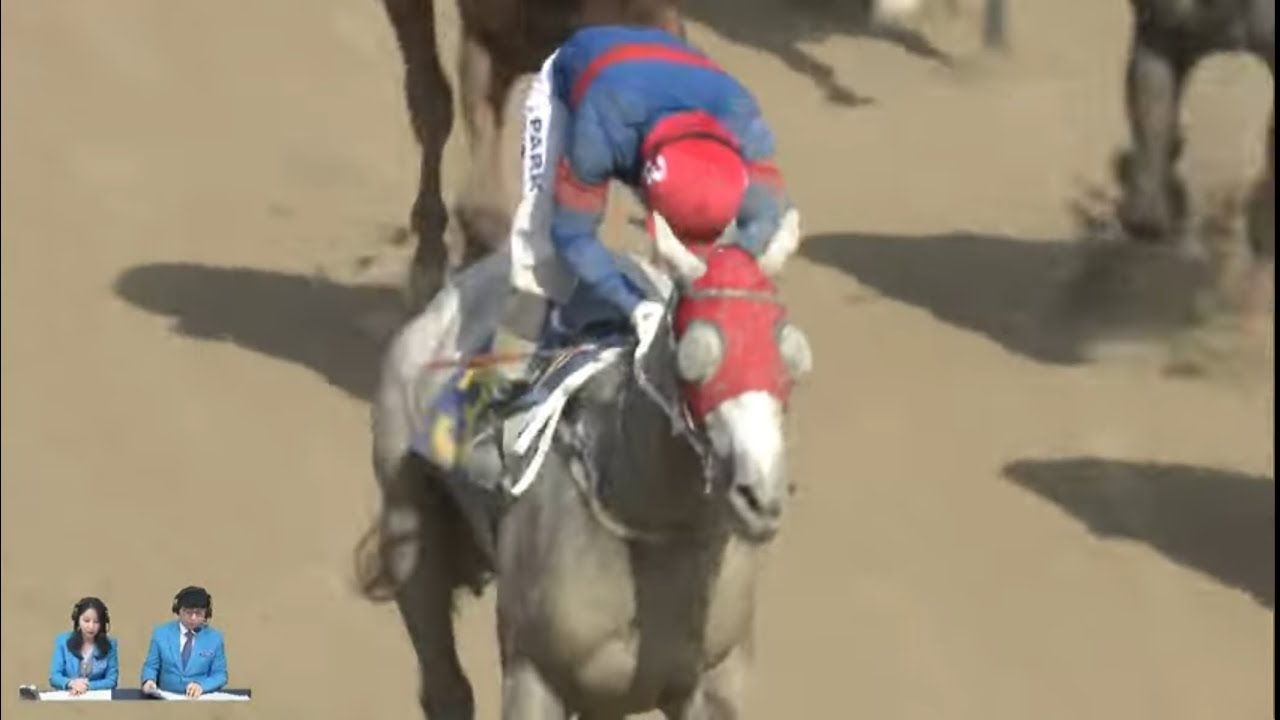 [더비온 동시 Live] 4월 5일 (일) 부경 6R 루나Stakes (L) 해설중계 라이브!